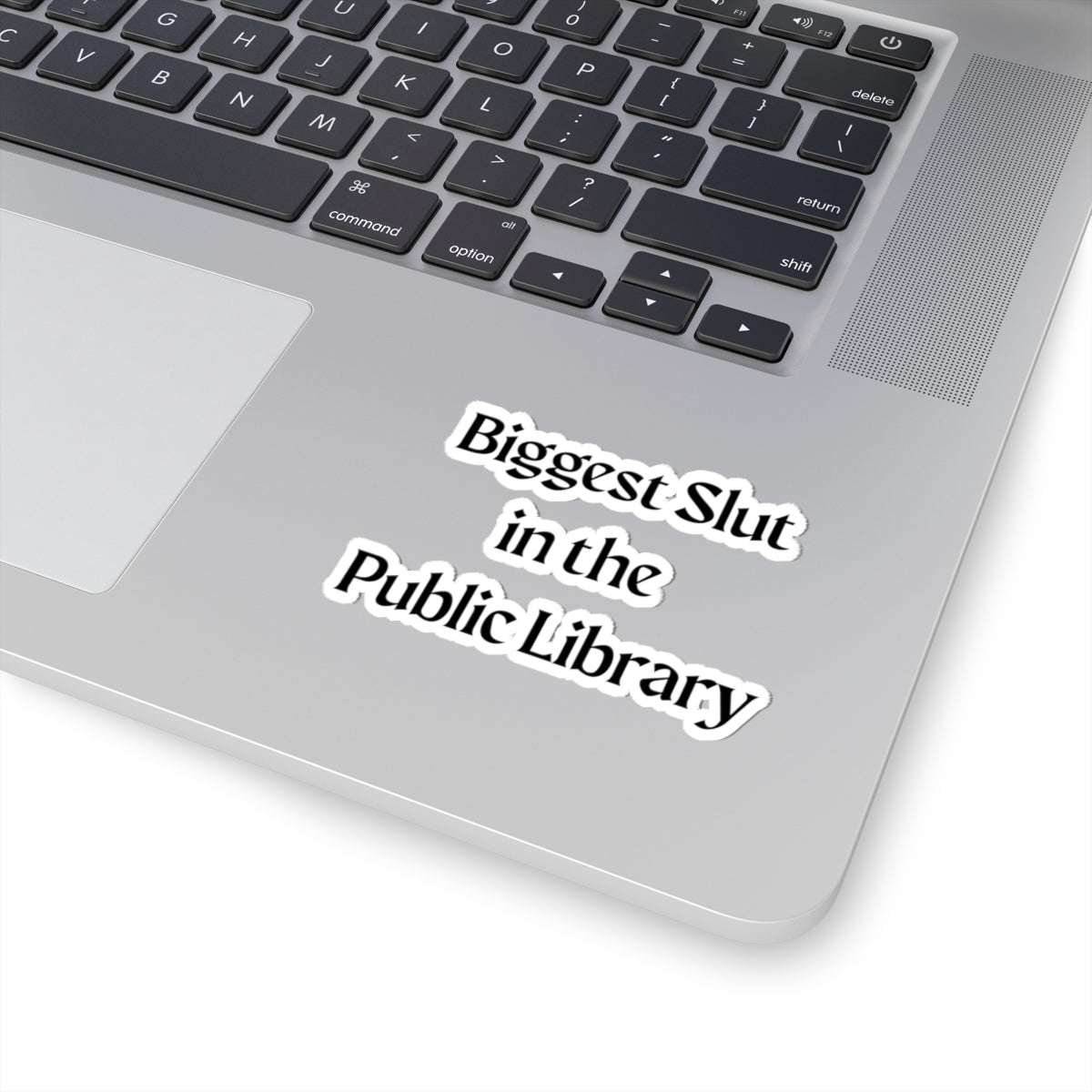 Biggest Slut in the Public Library Sticker
