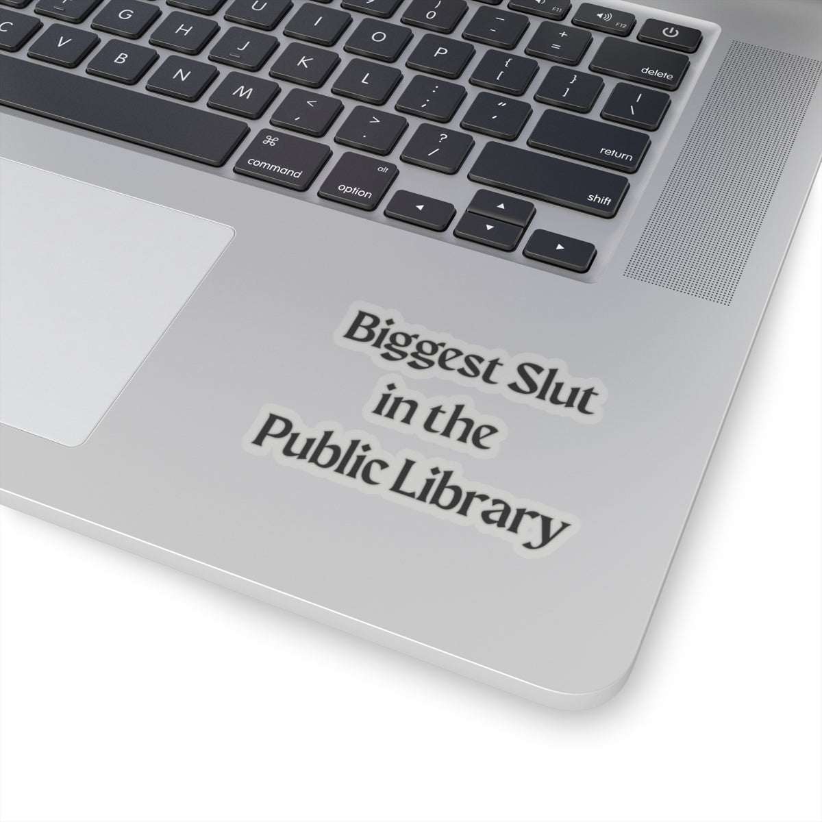 Biggest Slut in the Public Library Sticker