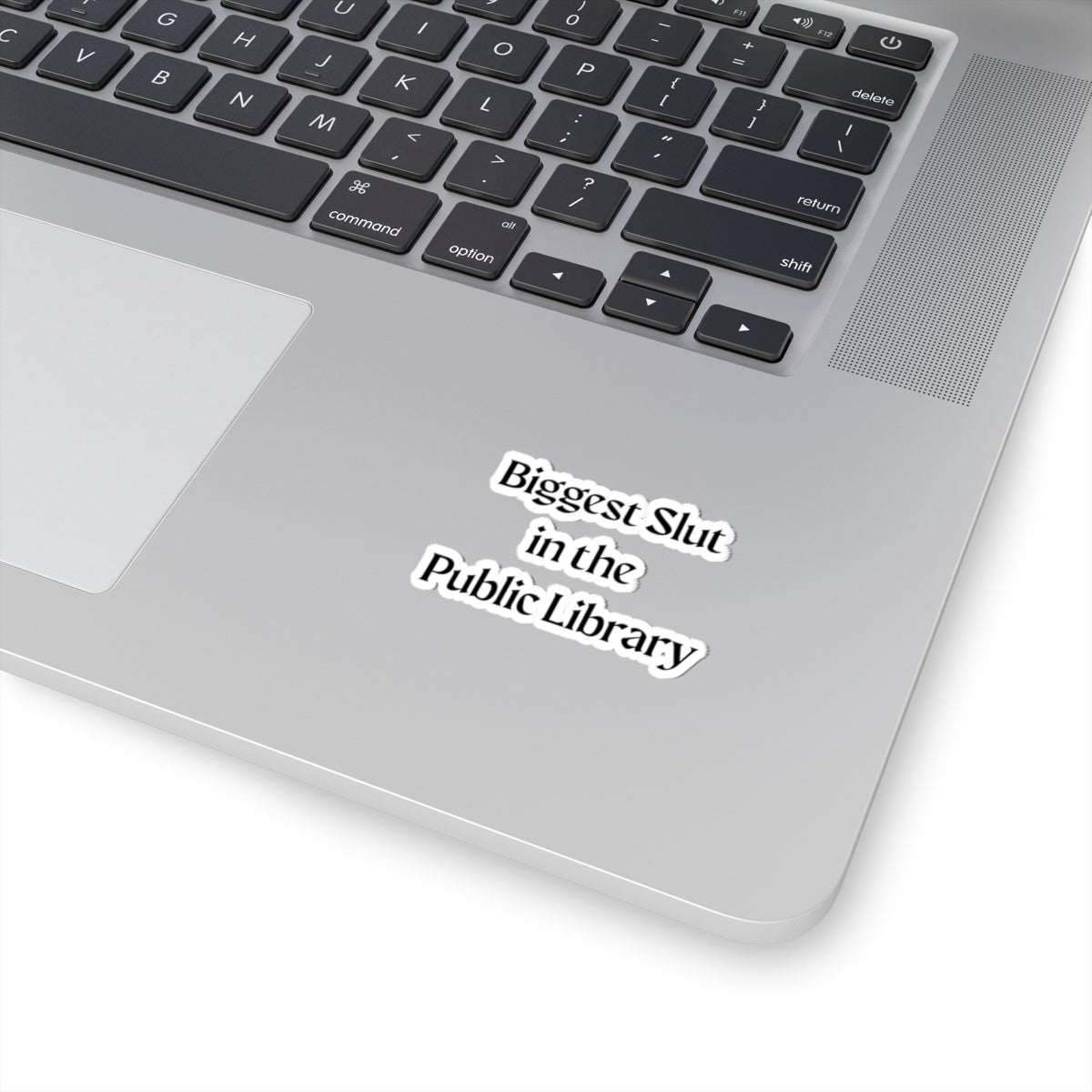 Biggest Slut in the Public Library Sticker