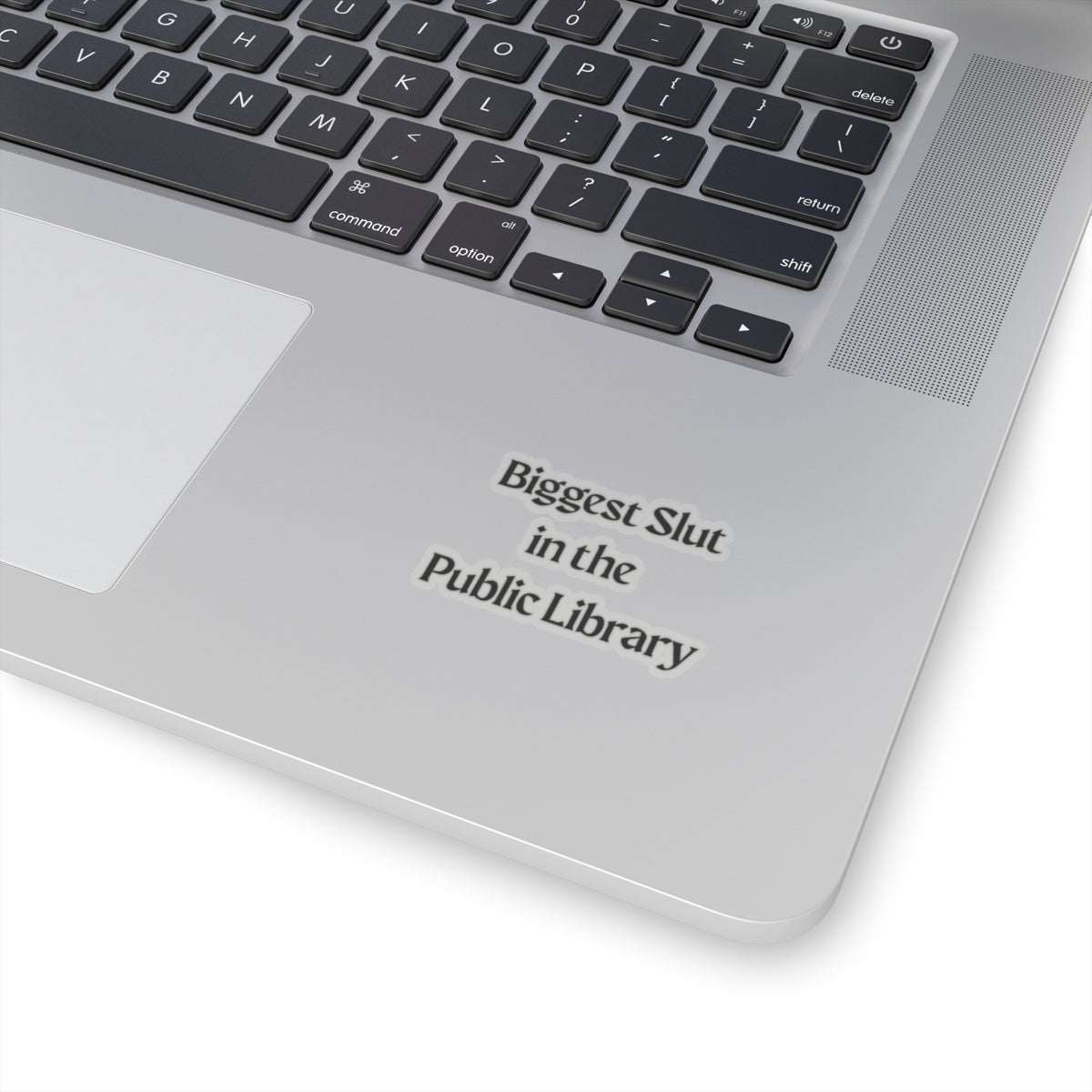 Biggest Slut in the Public Library Sticker